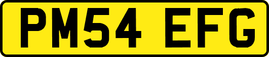 PM54EFG