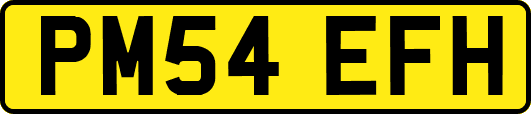PM54EFH