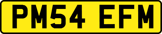 PM54EFM