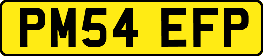 PM54EFP