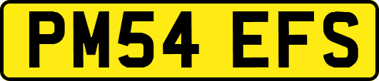 PM54EFS