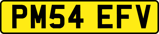 PM54EFV