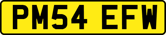 PM54EFW