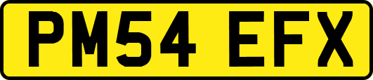 PM54EFX
