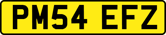 PM54EFZ