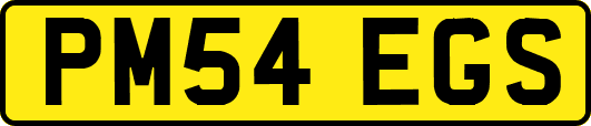 PM54EGS
