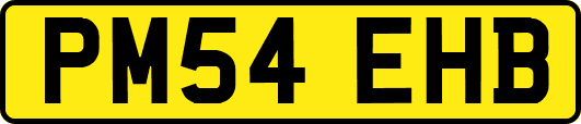 PM54EHB