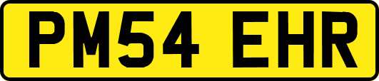 PM54EHR