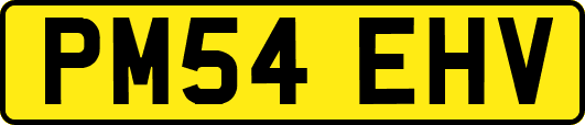 PM54EHV