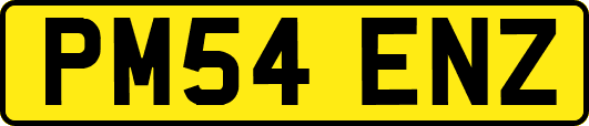 PM54ENZ