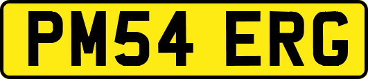 PM54ERG