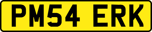 PM54ERK