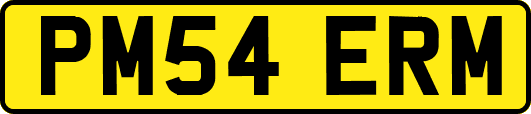 PM54ERM