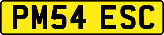 PM54ESC