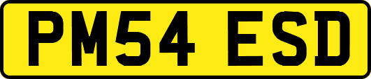 PM54ESD