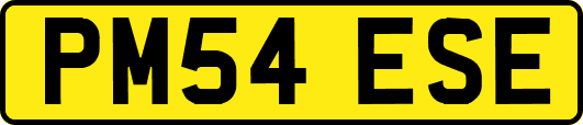 PM54ESE