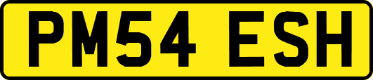 PM54ESH