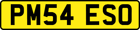 PM54ESO