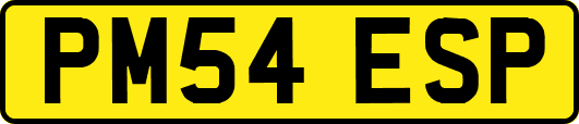PM54ESP
