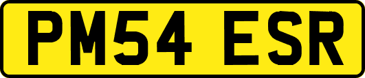 PM54ESR