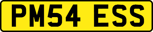 PM54ESS