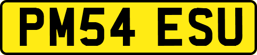 PM54ESU