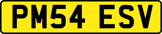 PM54ESV