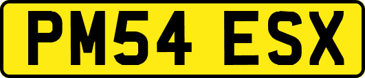 PM54ESX
