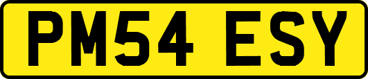PM54ESY