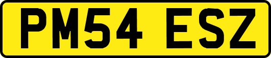 PM54ESZ