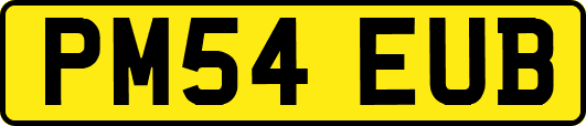 PM54EUB
