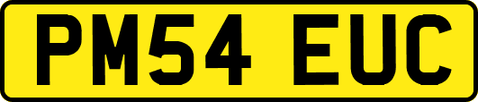 PM54EUC