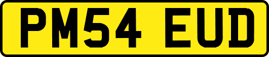 PM54EUD