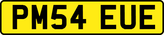 PM54EUE