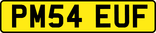 PM54EUF