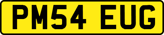 PM54EUG