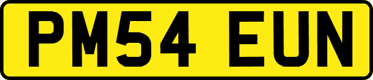 PM54EUN