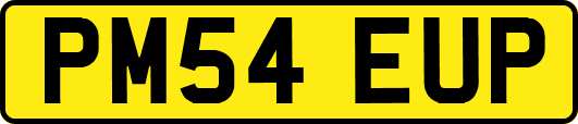 PM54EUP