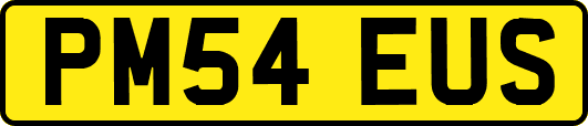 PM54EUS