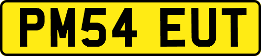 PM54EUT