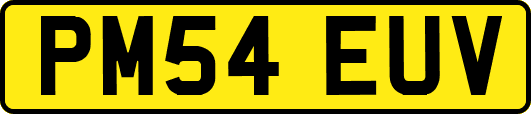 PM54EUV