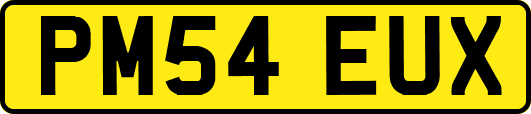 PM54EUX