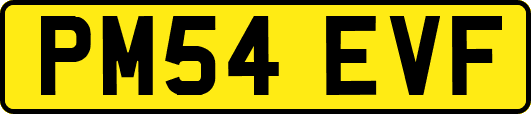 PM54EVF