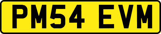 PM54EVM