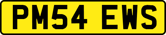 PM54EWS