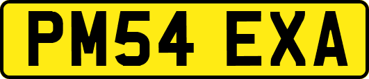 PM54EXA