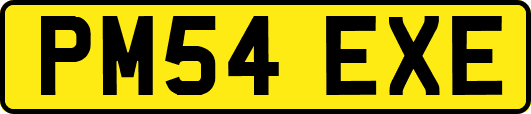 PM54EXE