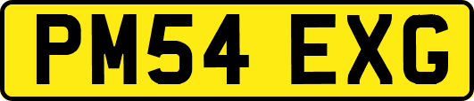 PM54EXG