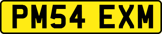 PM54EXM