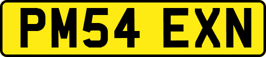 PM54EXN